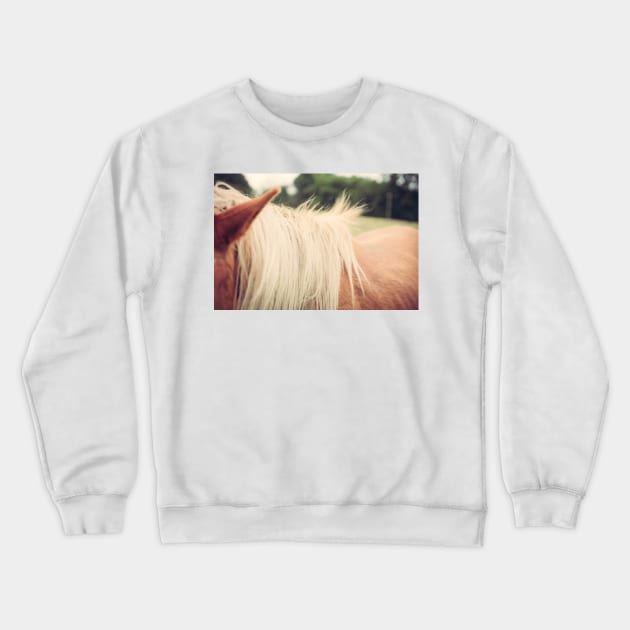 Windswept Mane Crewneck Sweatshirt by Debra Cox 